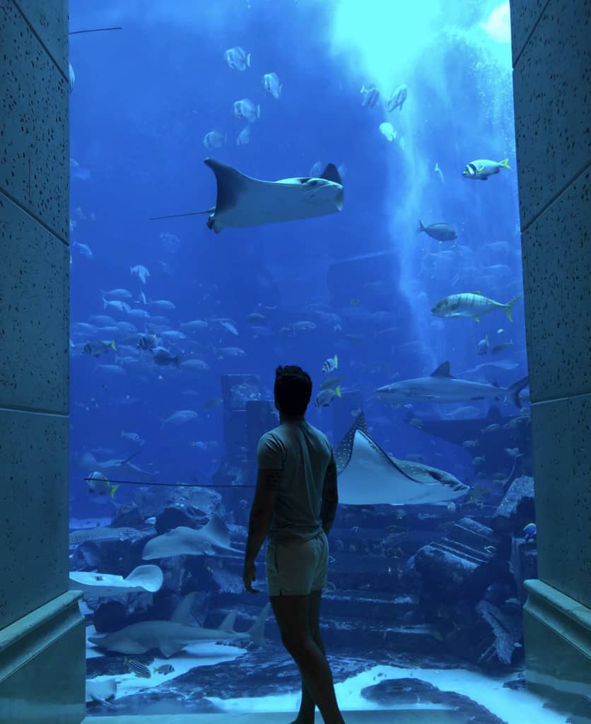 摄影师Pilot Madeleine迪拜旅行摄影LR预设 Dubai Lightroom Preset