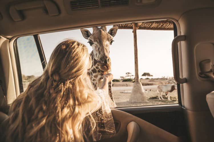 摄影师Pilot Madeleine阿布达比旅行摄影LR预设 Abu Dhabi LR Presets