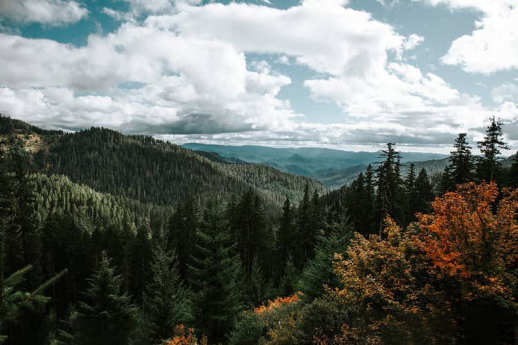 摄影师Treyw旅拍风景人像胶片Lightroom预设 Accent Lightroom Presets