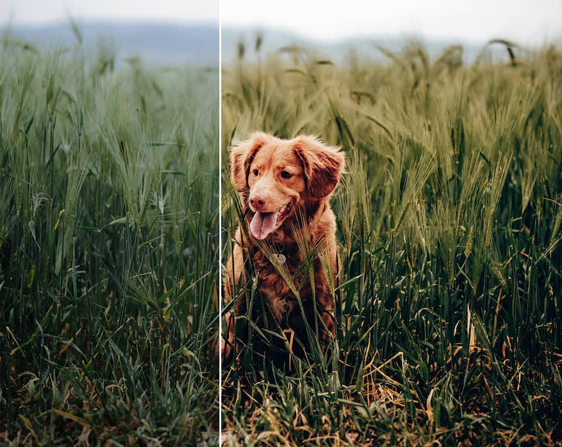 旅拍探险人文风光后期LR预设移动APP预设 ARTA Outdoor Lightroom Pack