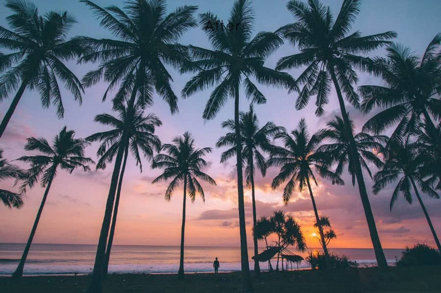 旅行幻想系列Lightroom预设 CPCollectives iwwm Lightroom Preset Pack