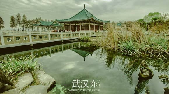 棒的胶片Lightroom预设