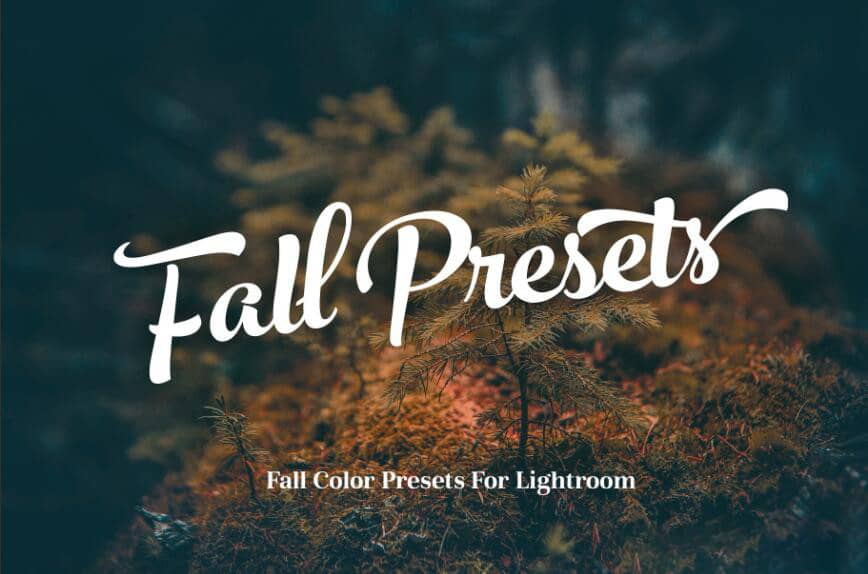 秋季旅行摄影Lightroom预设 Fall Presets 2018 Lightroom Preset