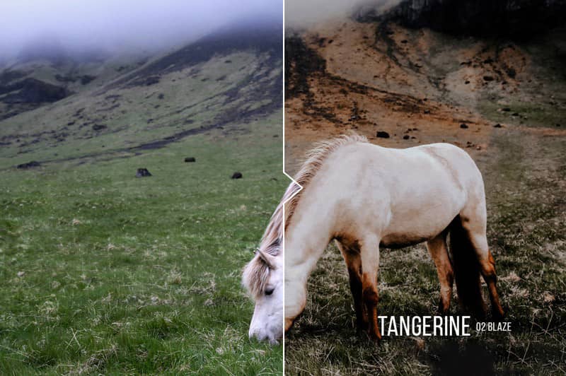 色金色哑光户外旅行摄影Lightroom预设+ACR预设