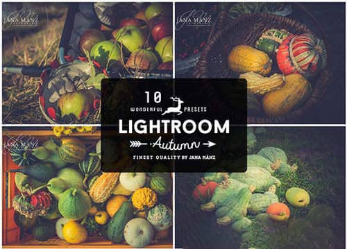 代胶片相机秋季复古Lightroom预设