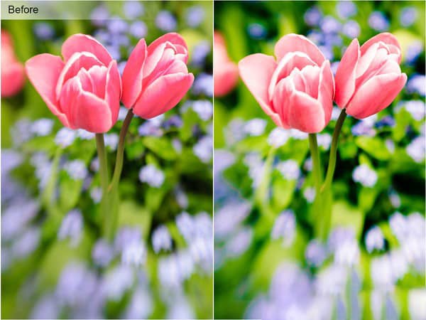 古电影胶片Lightroom预设+ACR预设 RETRO FILM (LIGHTROOM PRESETS)