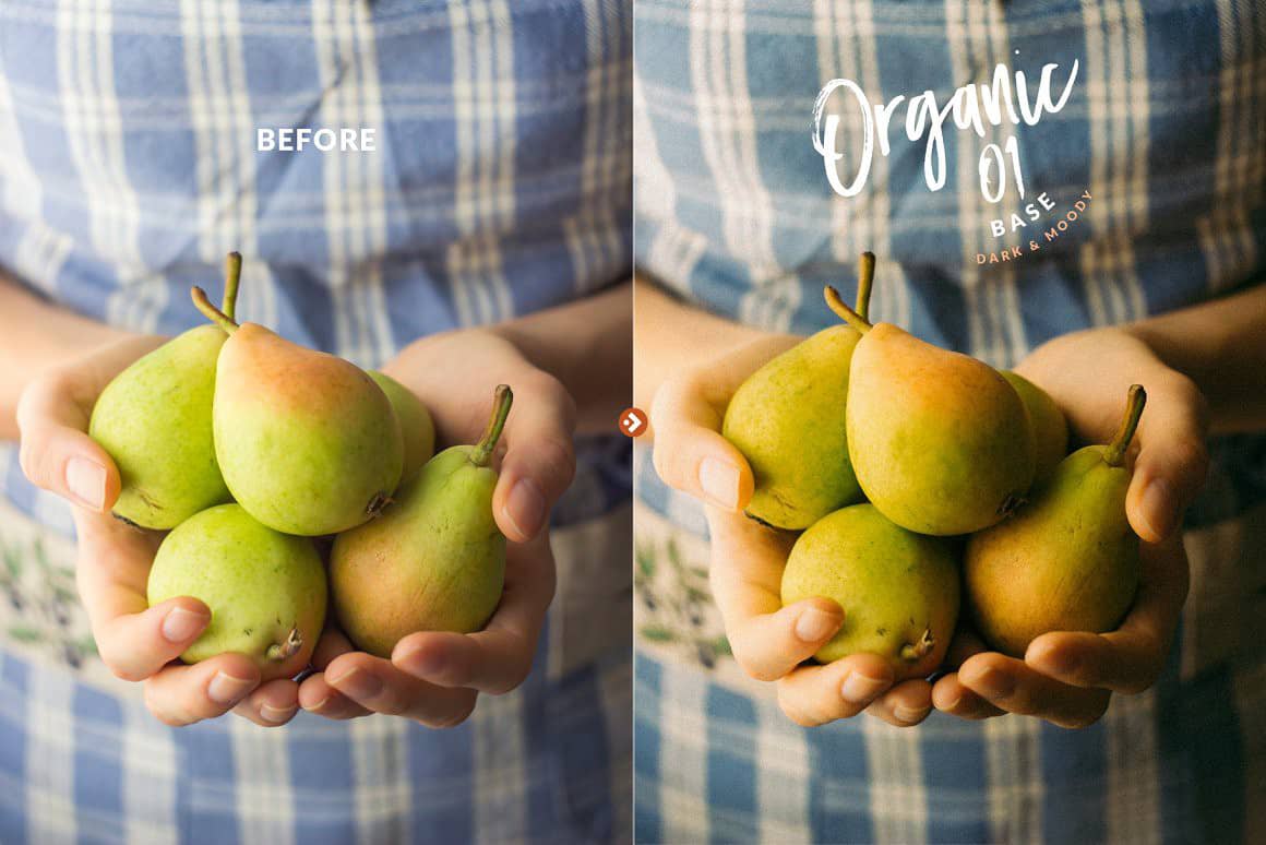 有机食品美食摄影后期PSLightroom预设 Organic Food Presets