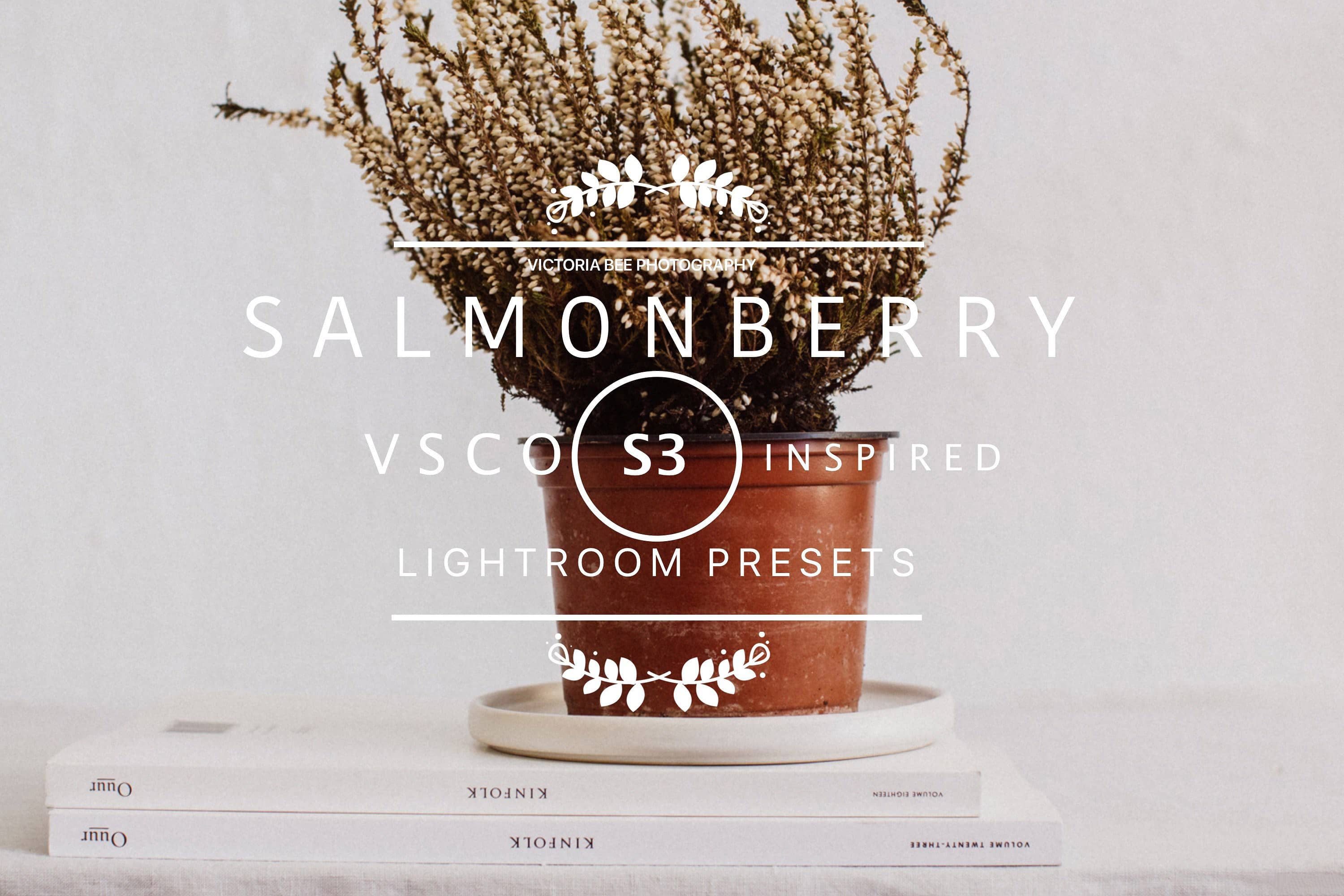 VSCO Cam S3 Lightroom预设 现代SALMONBERRY VSCO Cam S3 LR预设