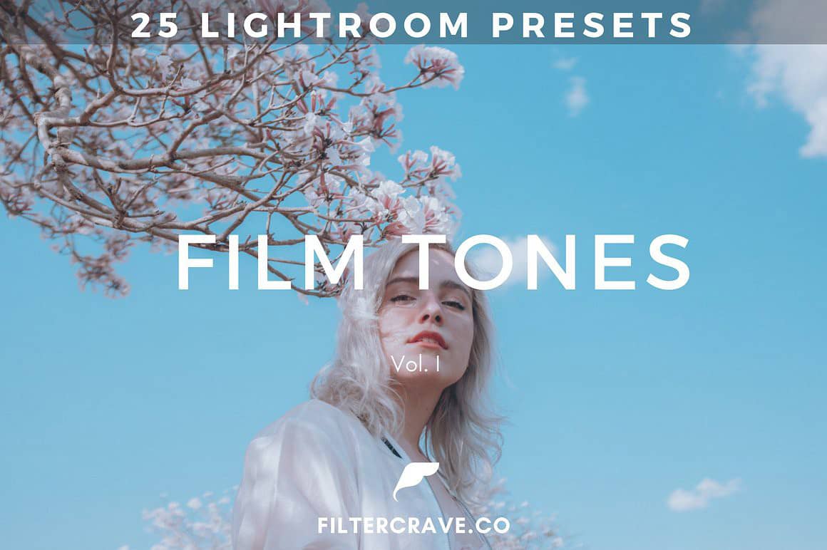 片日系清新风Lightroom预设 25 Film Tone I Lightroom Presets