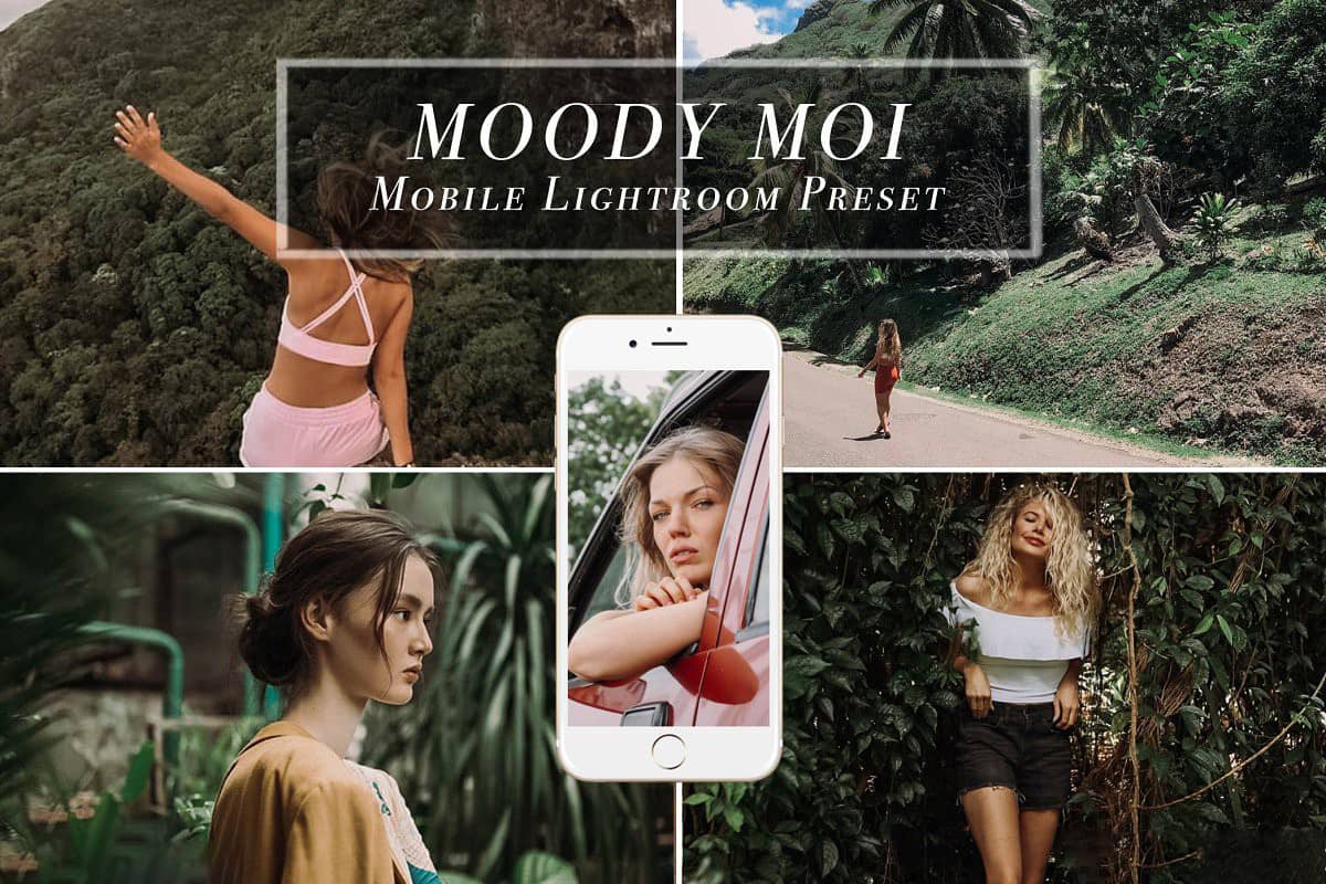 田园森系效果手机版LR预设 Mobile Lightroom Preset MOODY MOI