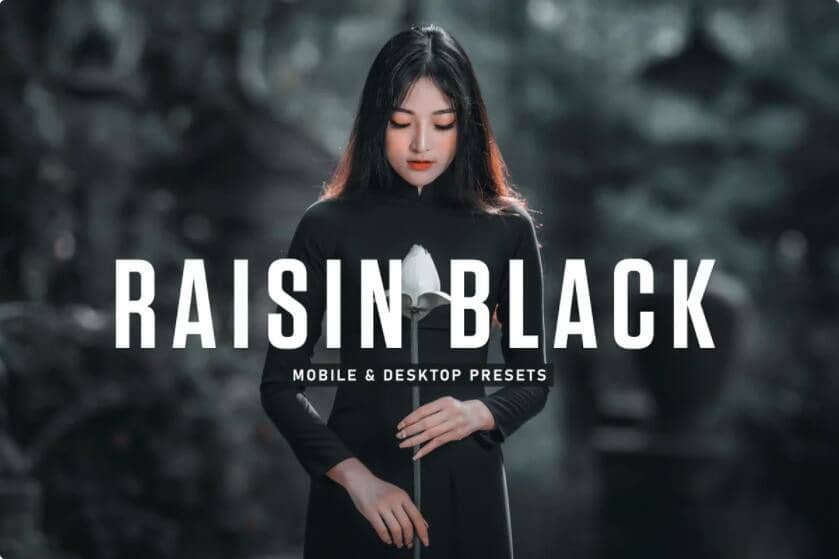 电影情绪人像后期调色免费Lightroom预设 Raisin Black Pro Lightroom Presets