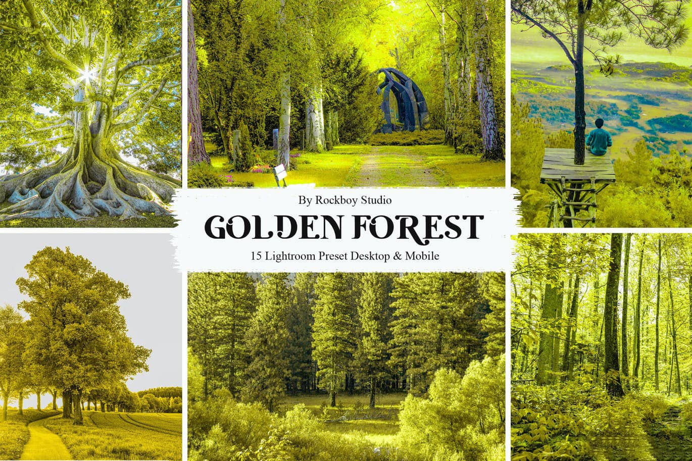 风光自然场景金色森林Lightroom预设 15 Golden Forest Lightroom Presets