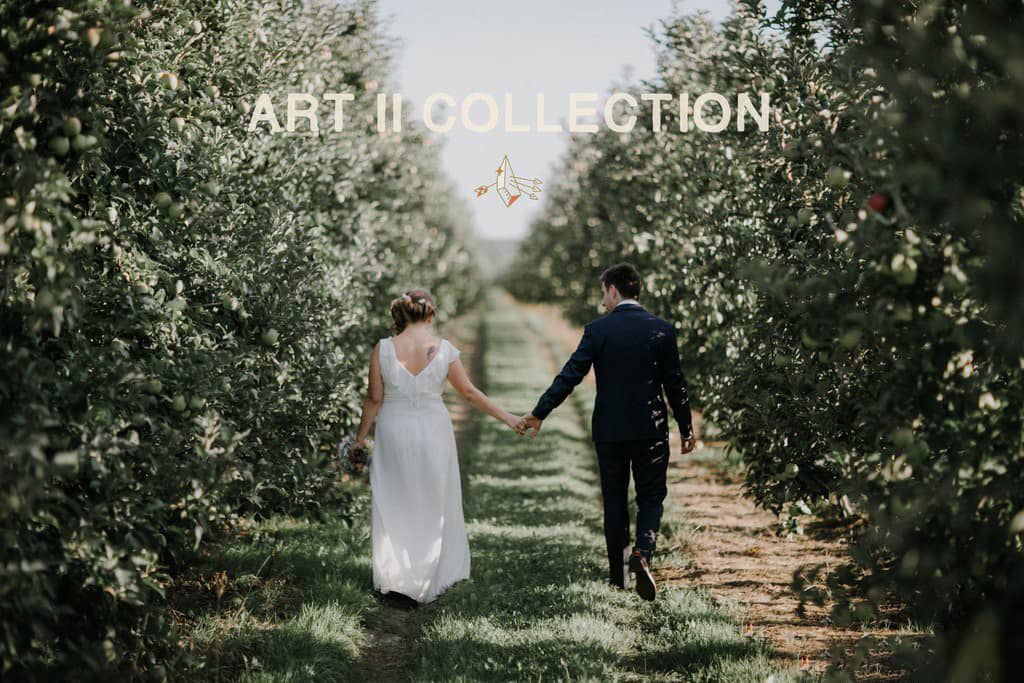 VividPresets -艺术感婚礼人像胶片ACR预设 VividPresets – ART II COLLECTION ACR预设