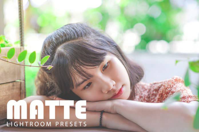 免费哑光磨砂人像Lightroom预设Adobe Camera Raw ACR预设