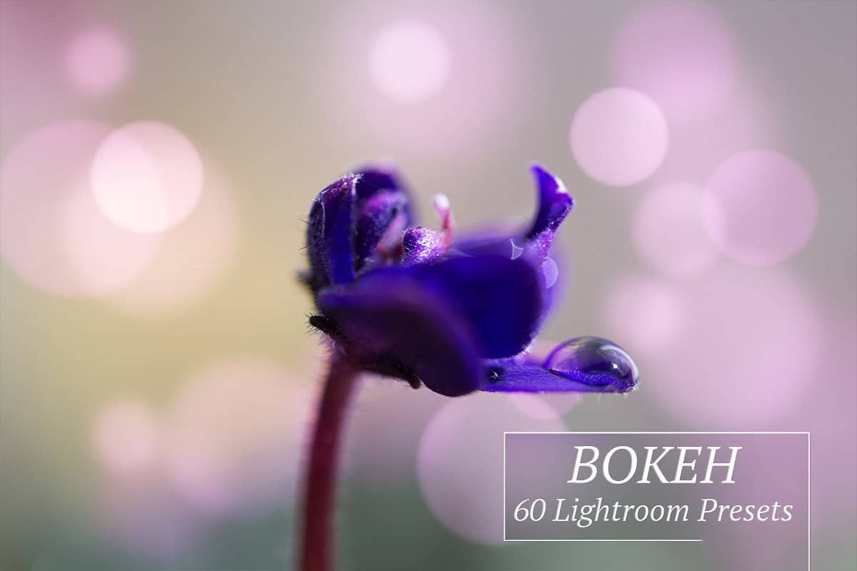散景光斑Lightroom预设 60 Bokeh Lr Presets
