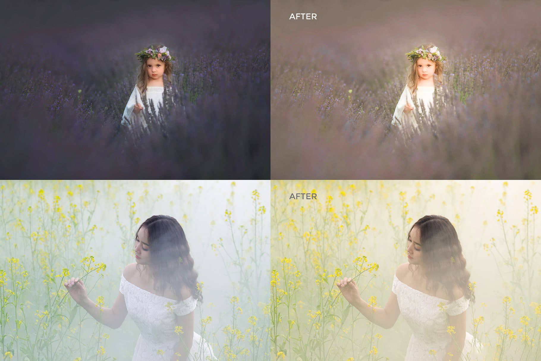 晨光暖光人像风景Lightroom预设