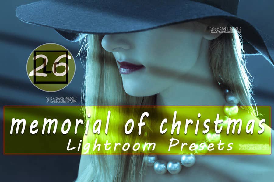 梦幻柔和圣诞节人像Lightroom预设 Christmas Lightroom Presets