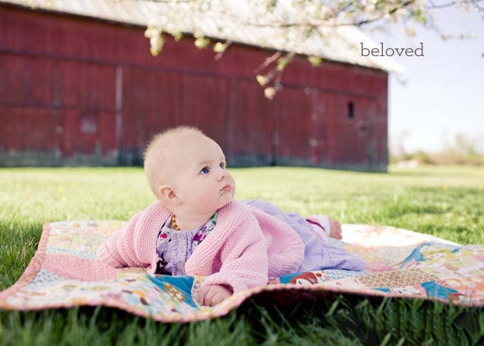 美大师级One Willow童话故事lightroom预设集合