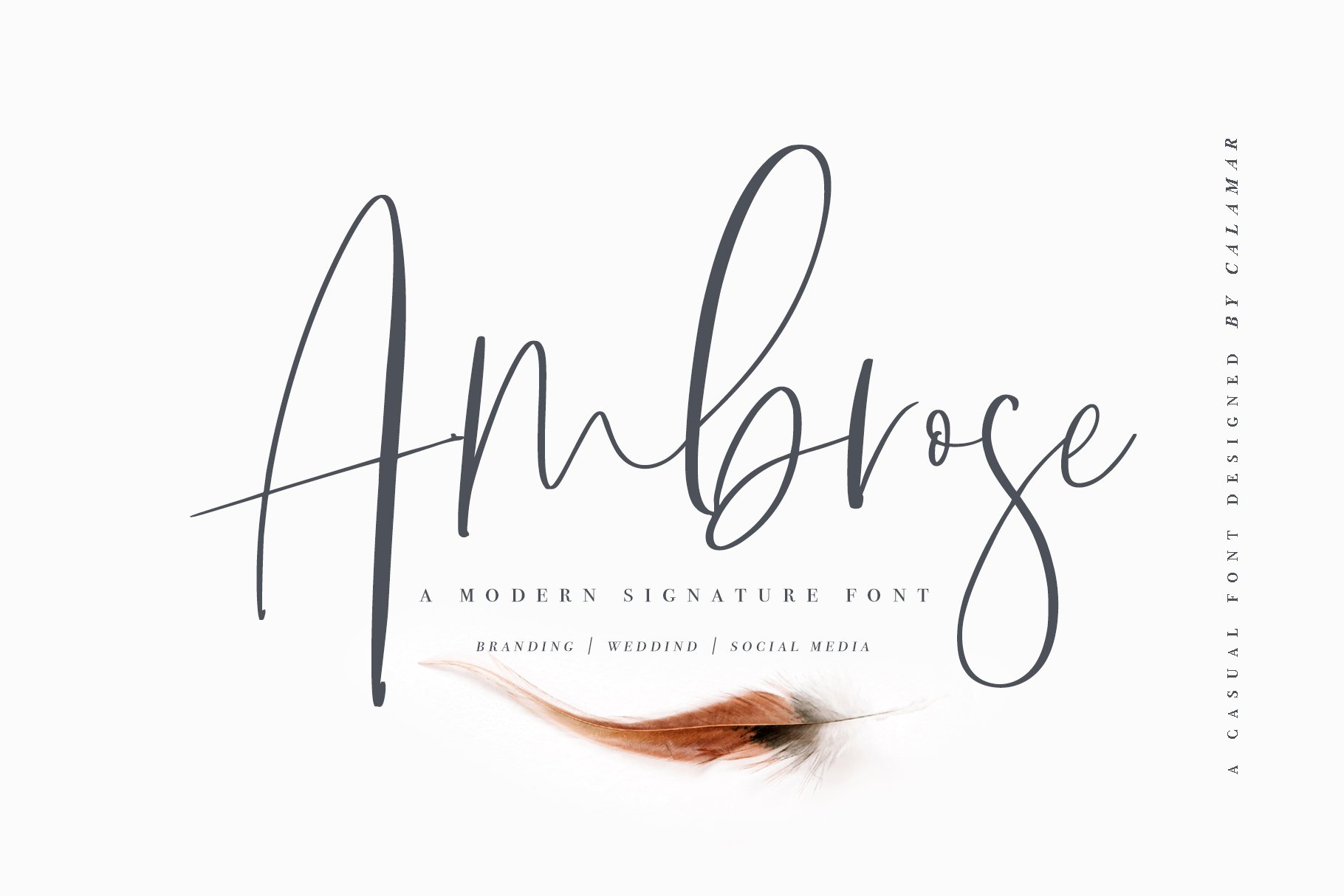 Ambrossy 字体