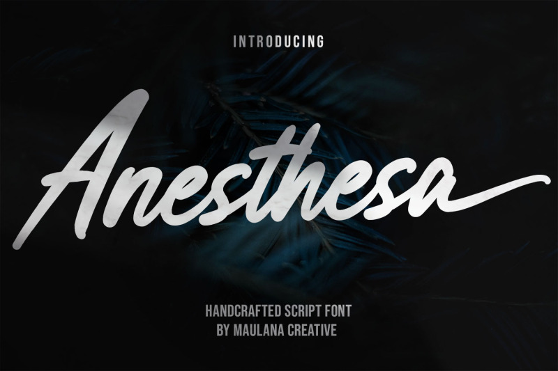 Anesthesa Script – Casual Handcrafted 字体