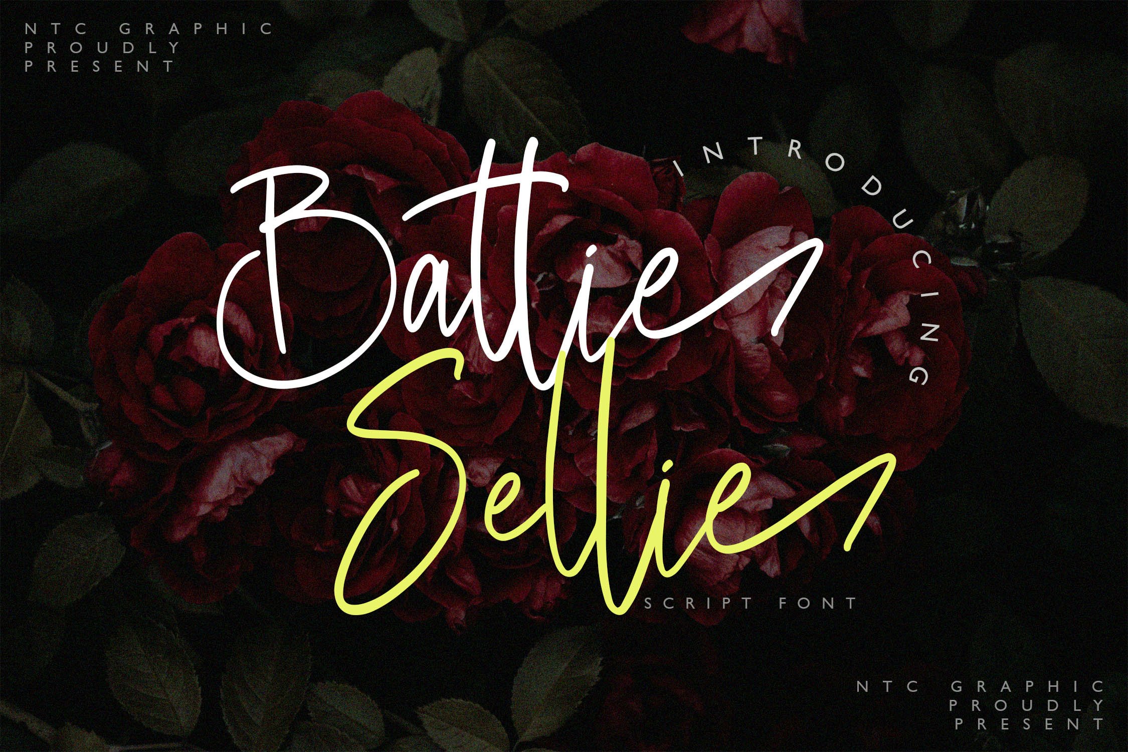 Battie Sellie 字体