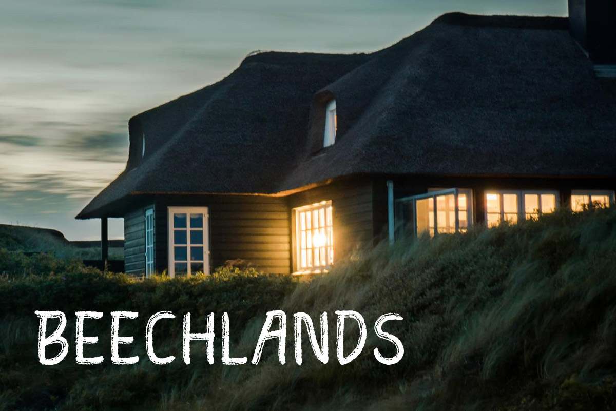 Beechlands – Brush Textured 字体