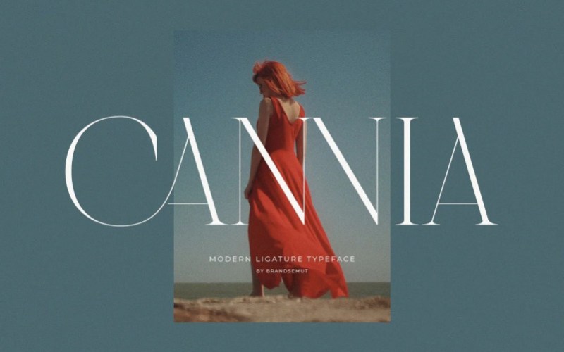 Cannia Serif 字体