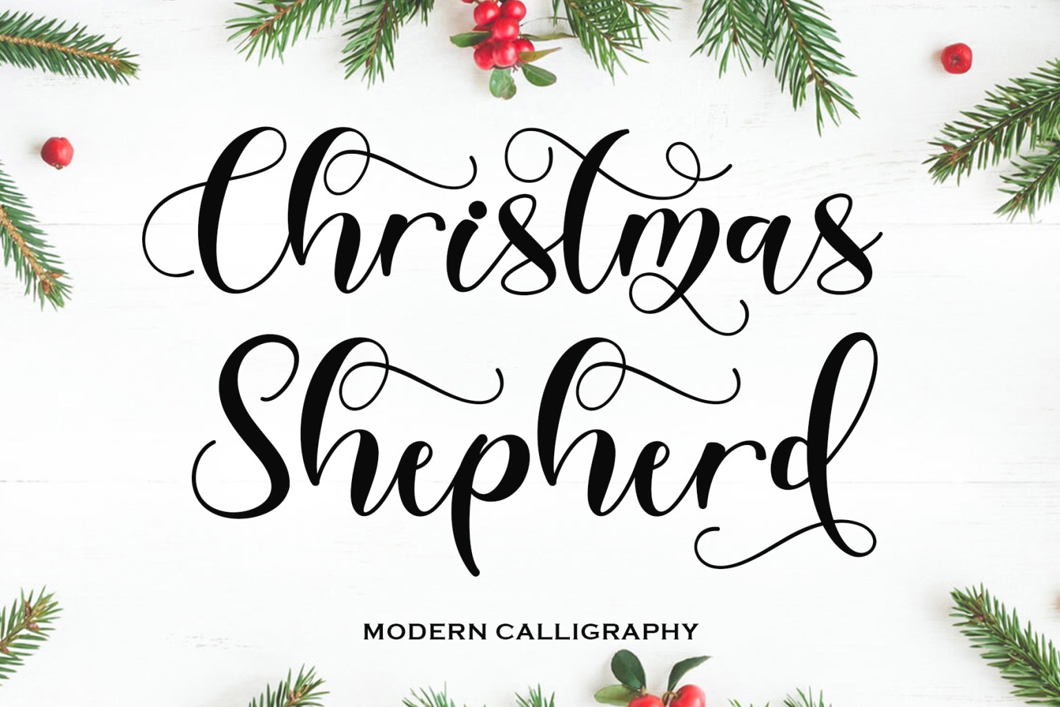 Christmas Shepherd Script 字体