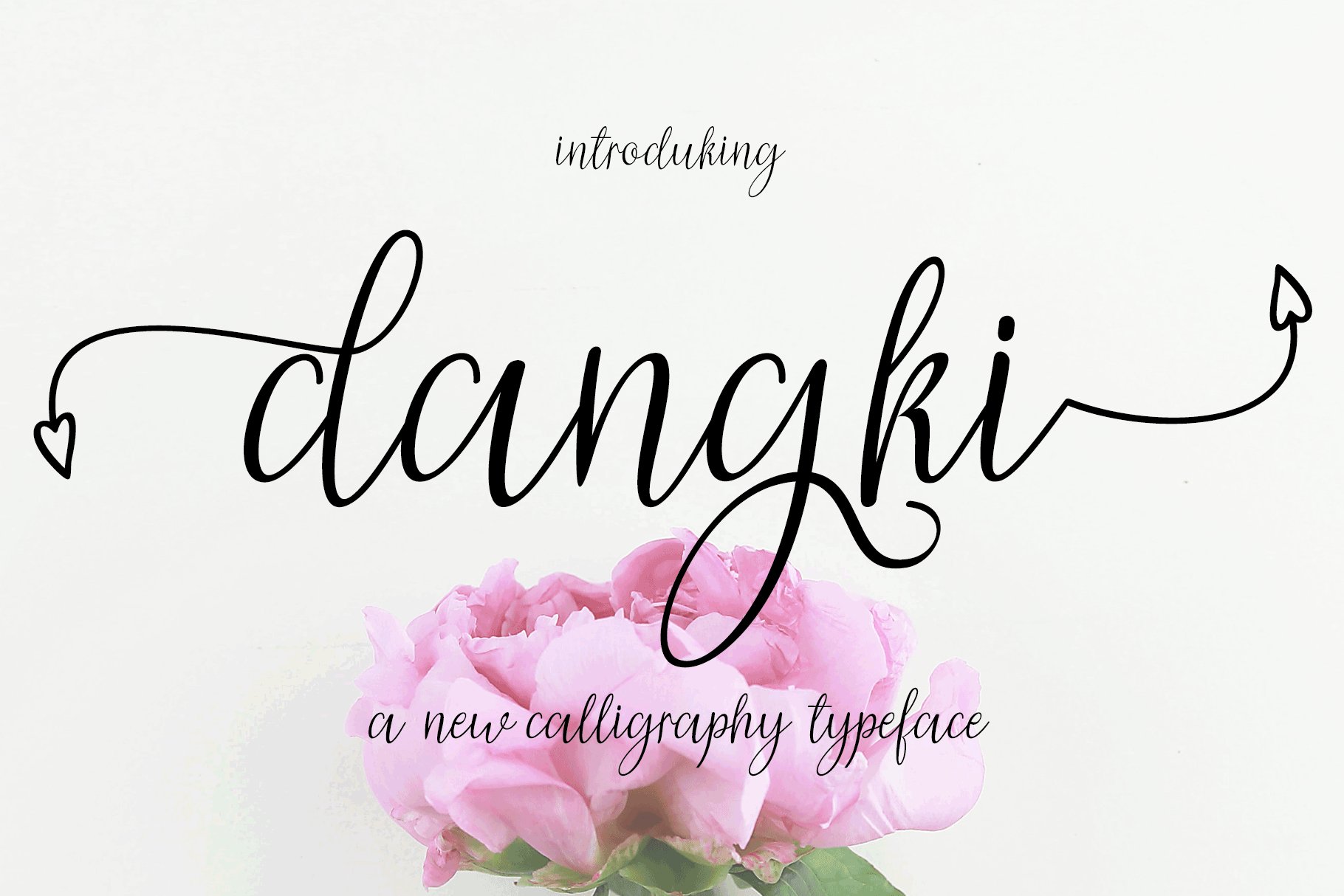 Dangki Script – Beautiful Calligraphy Typeface
