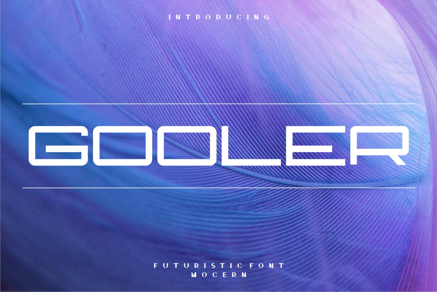 Gooler Display 字体