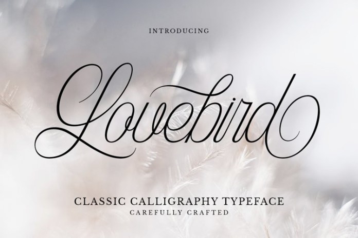Lovebird – Classic Calligraphy Typeface