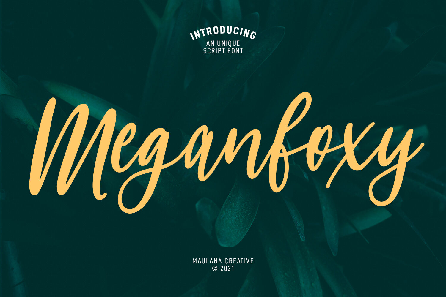 Meganfoxy – Casual Script 字体