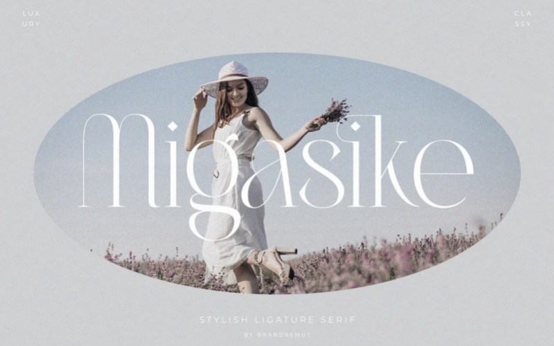 Migasike Serif 字体