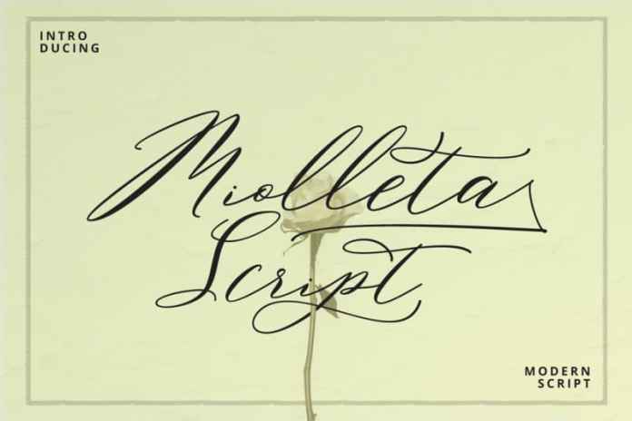 Miolleta Script 字体