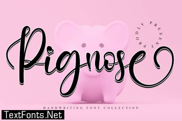 Pignose 字体
