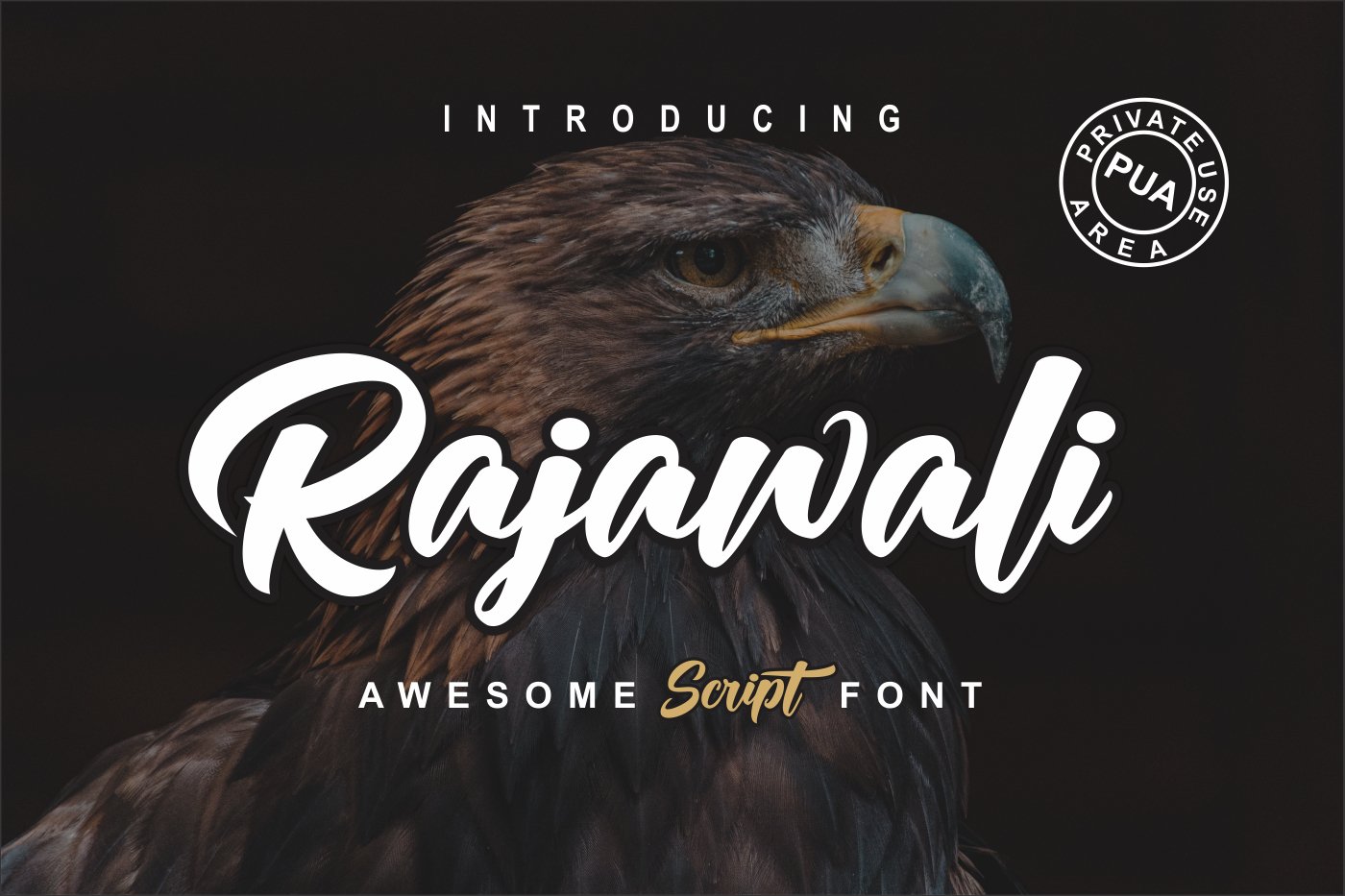 Rajawali 字体