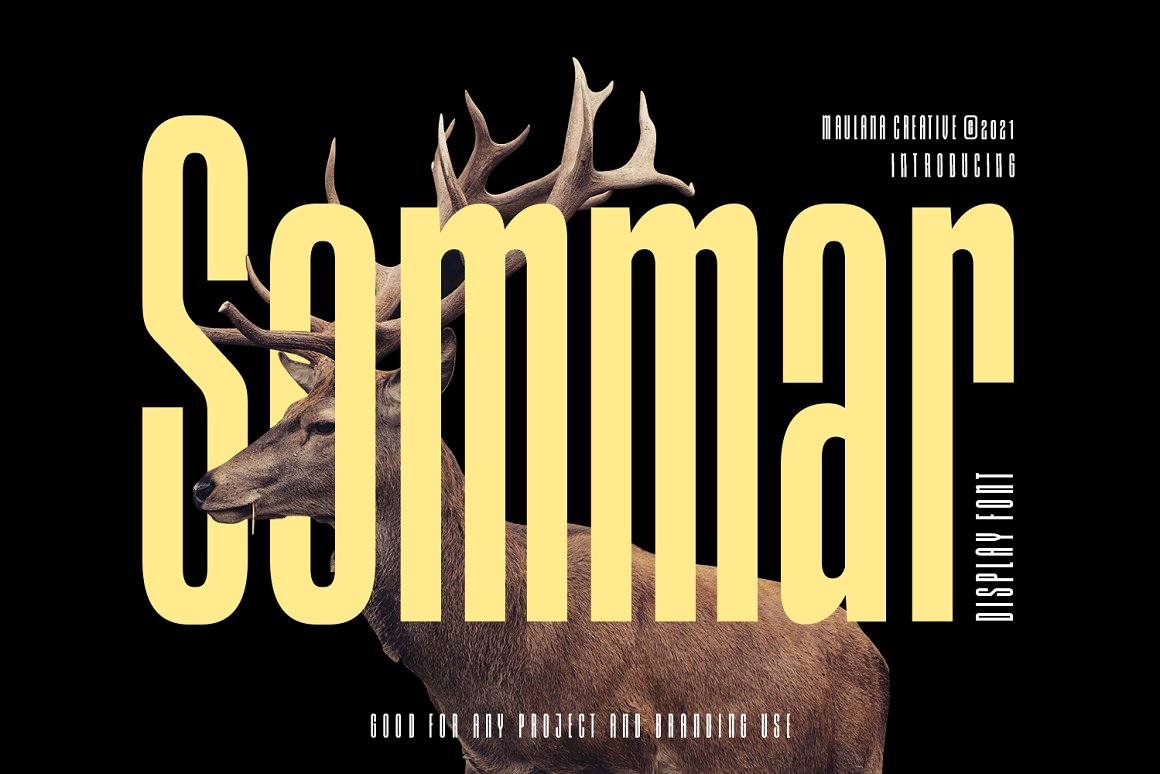 Sommar – Super Strong Compressed Display 字体