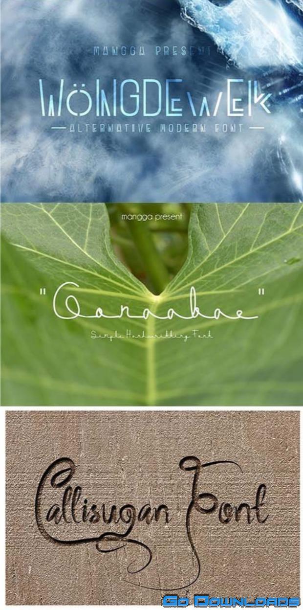 字体 Bundle 3321026