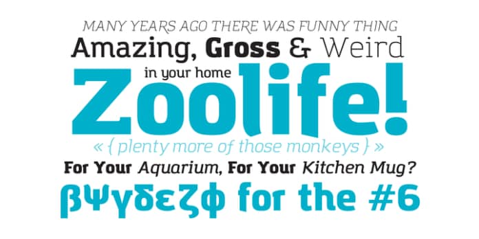 Amazing Grotesk 字体 Family