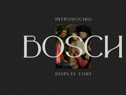 Bosch_Display_字体