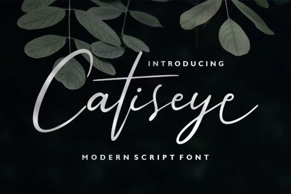 Catiseye-20663338