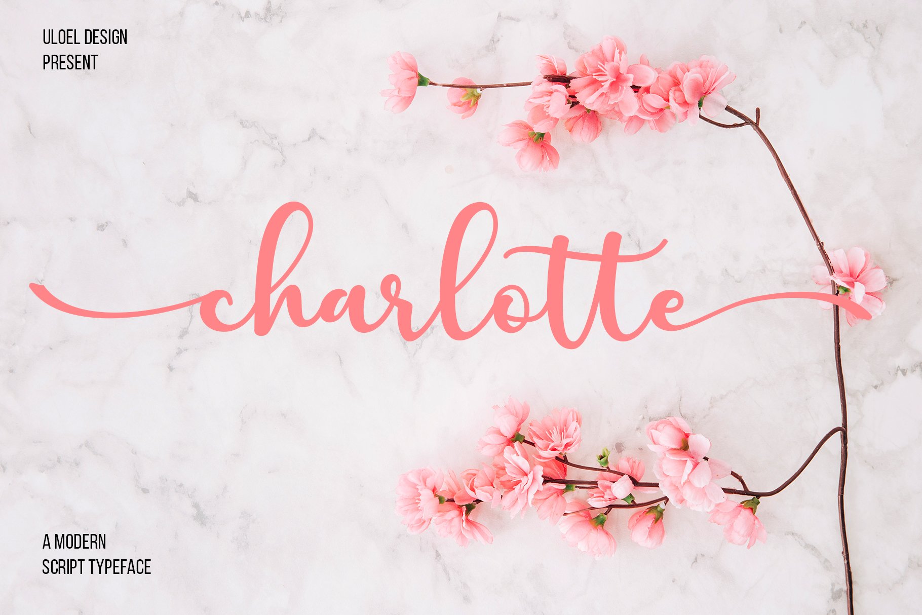 Charlotte 字体