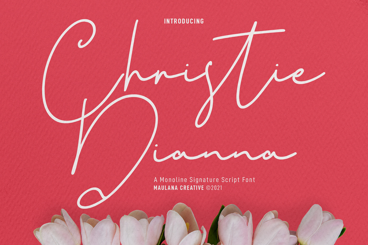 Christie Dianna – Monoline Signature Script 字体