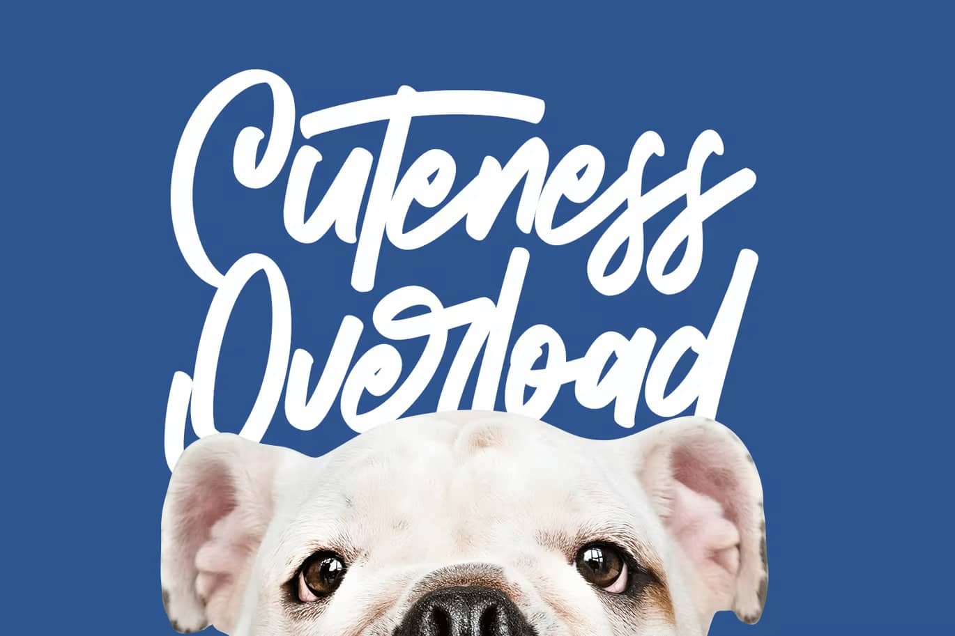 Ethernalize – Handwritten Script 字体