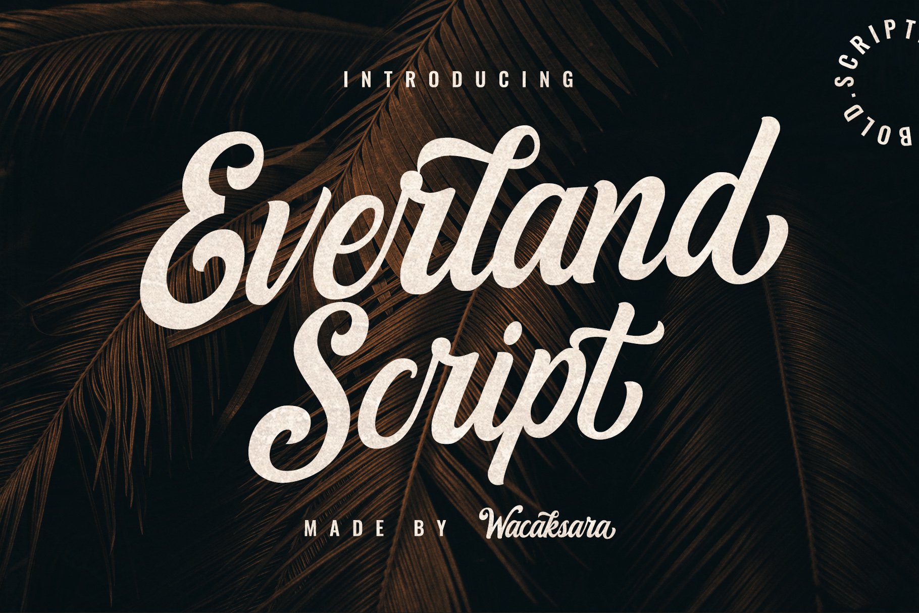 Everland Script 3215709