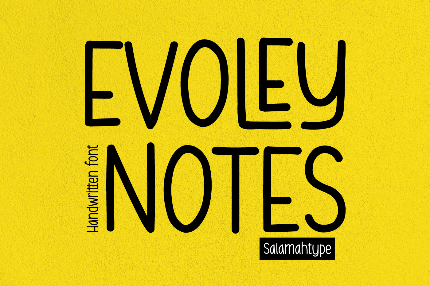 Evoley Notes 字体
