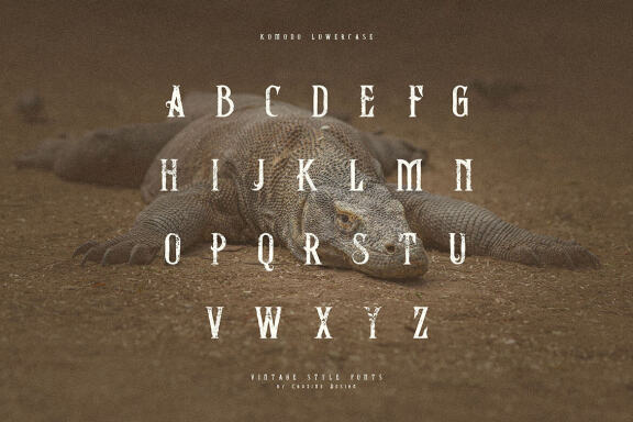 Komodo – Decorative Serif 字体 Family