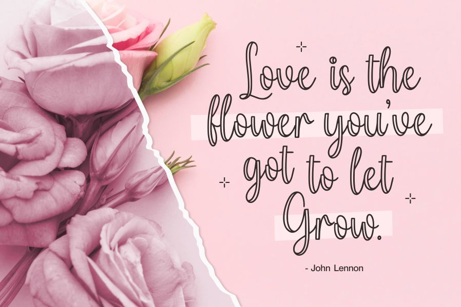 Millerline Script 字体