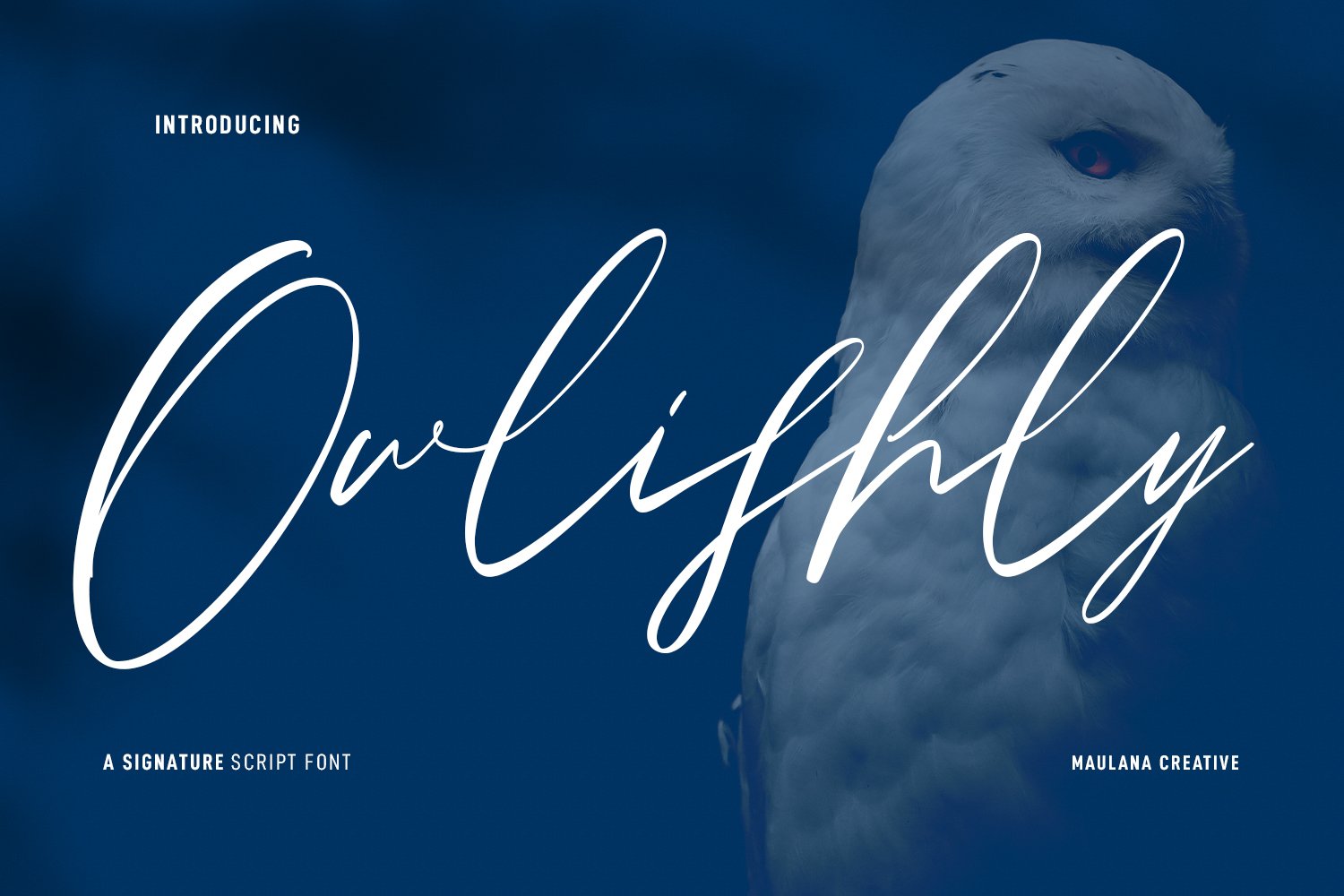 Owlishly – Signature Script 字体