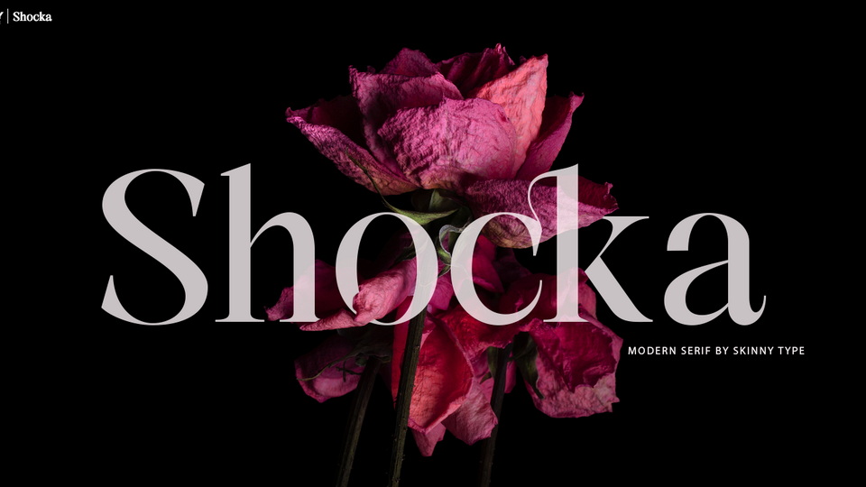 Shocka_Serif_字体